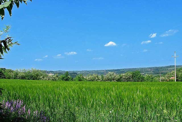 Šumadija