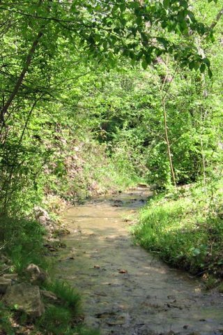 proleće / spring, potok / spring