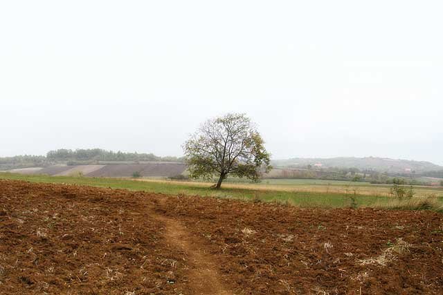Šumadija