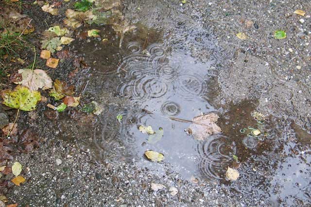 ...a kroz cipele kiše jesenje