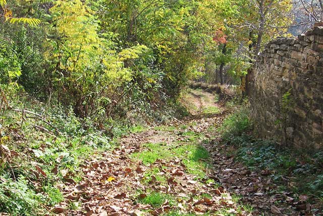 Srbija, priroda, jesen, Šumadija, Serbia, nature, autumn, fall