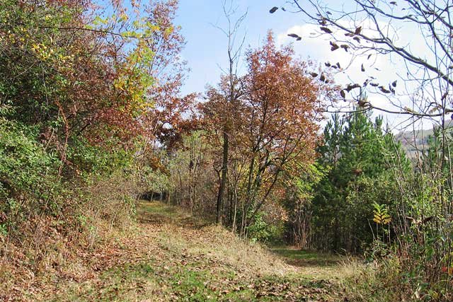 Srbija, priroda, jesen, Šumadija