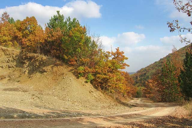 Srbija, priroda, jesen, Šumadija