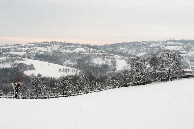 priroda Srbije, Šumadija, Donje Grbice, zima, sneg