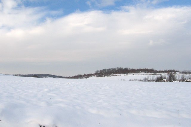 priroda Srbije, Šumadija, Donje Grbice, zima, sneg