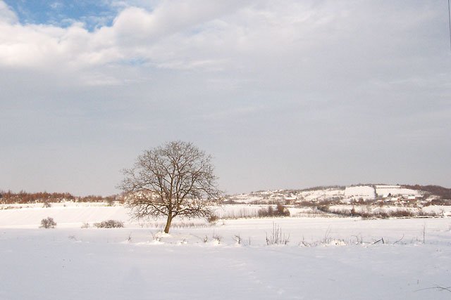 priroda Srbije, Šumadija, Donje Grbice, zima, sneg