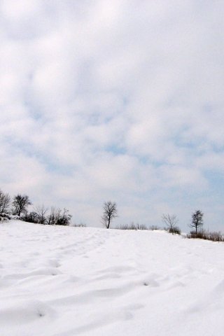 priroda Srbije, Šumadija, Donje Grbice, zima, sneg