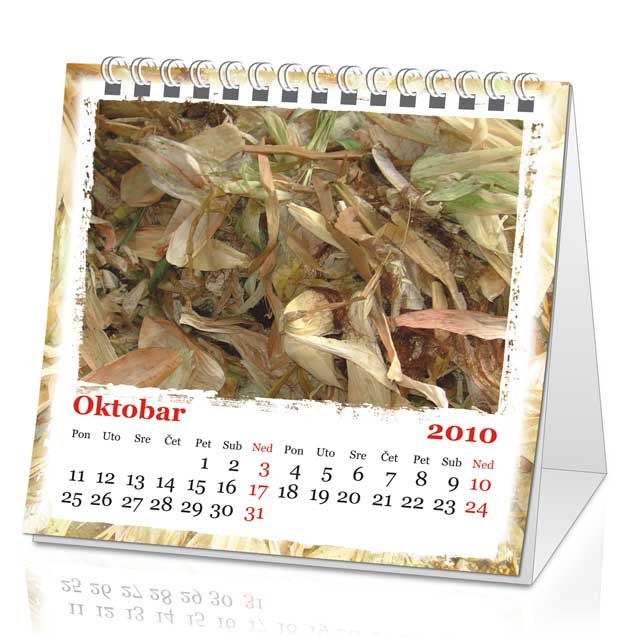 stoni kalendar 2010
