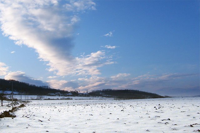 priroda Srbije, Šumadija, Donje Grbice, zima, sneg