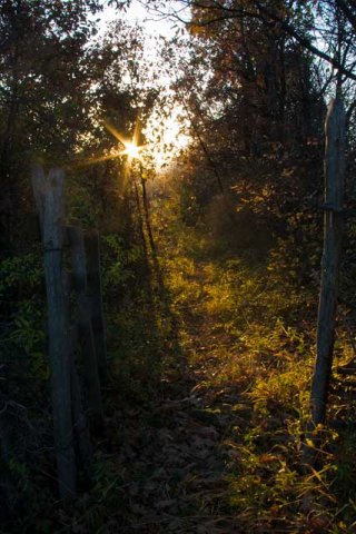 Srbija, priroda, jesen, Šumadija, Serbia, nature, autumn, fall, izlazak sunca, sunrise